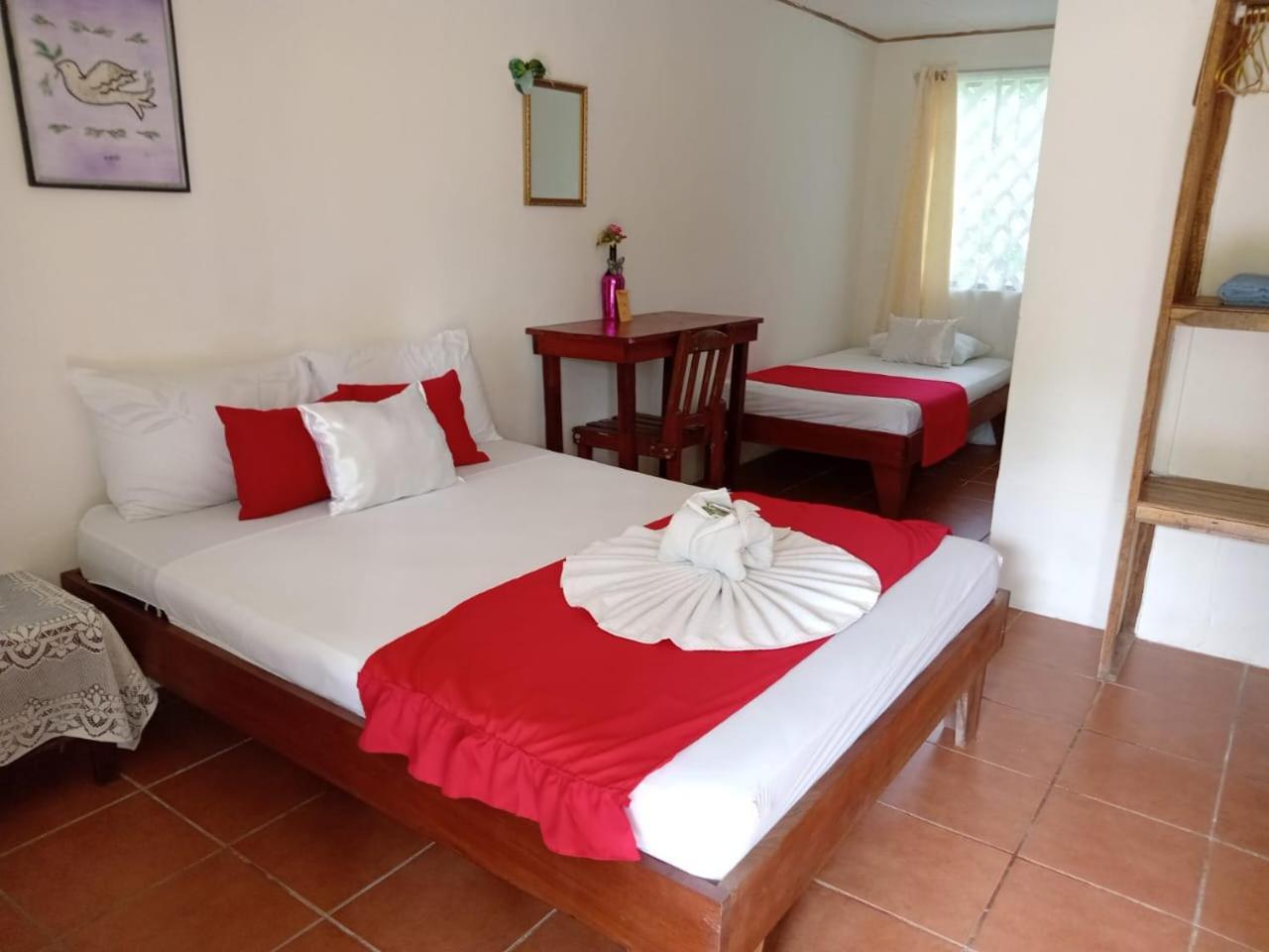 All Rankins Eco-Lodge Tortuguero Ruang foto