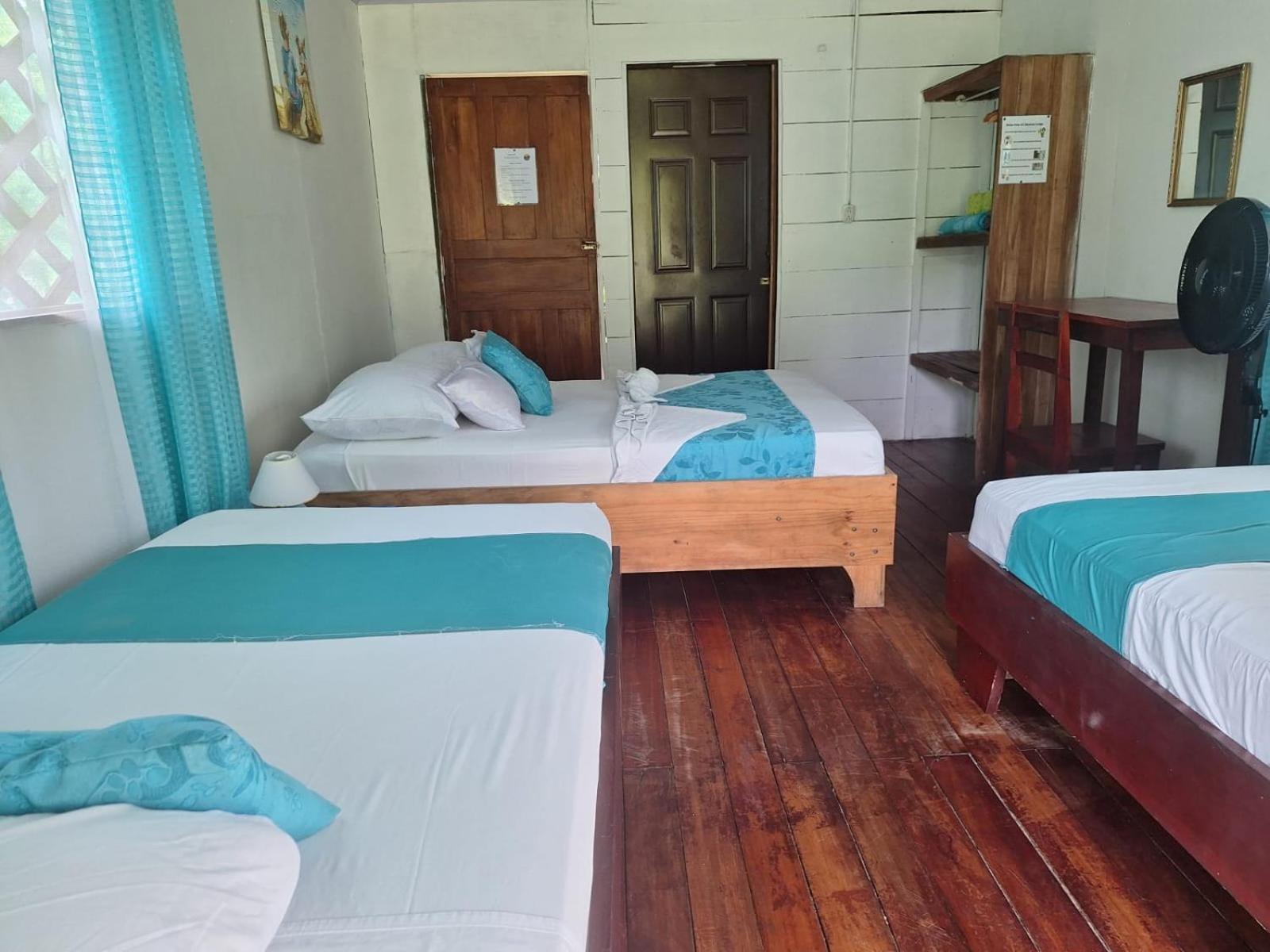 All Rankins Eco-Lodge Tortuguero Bagian luar foto