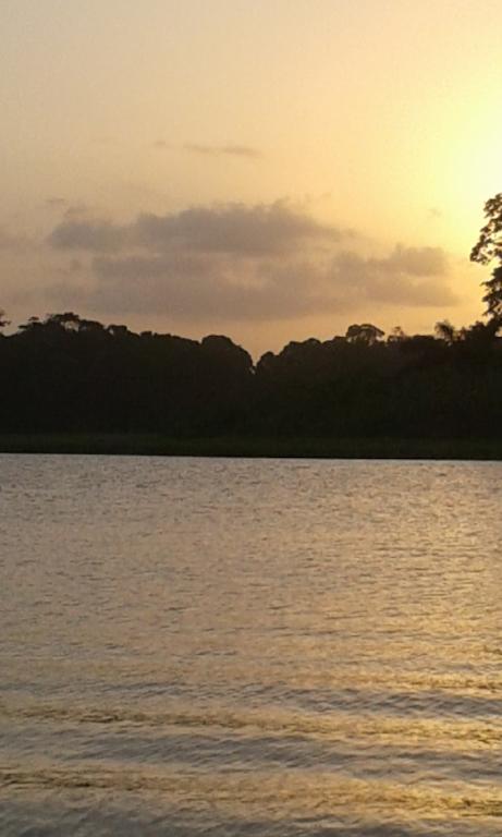 All Rankins Eco-Lodge Tortuguero Bagian luar foto