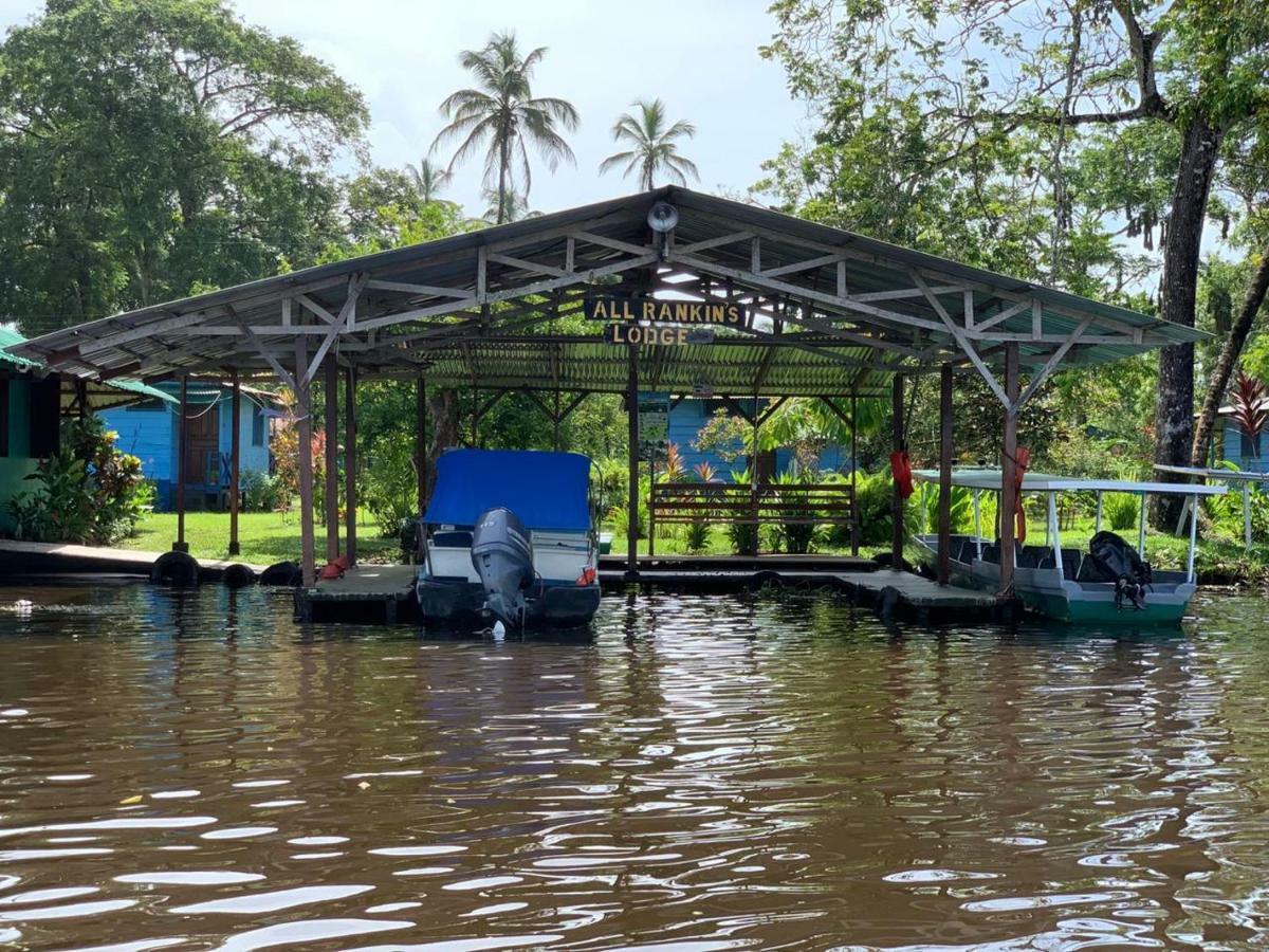 All Rankins Eco-Lodge Tortuguero Bagian luar foto