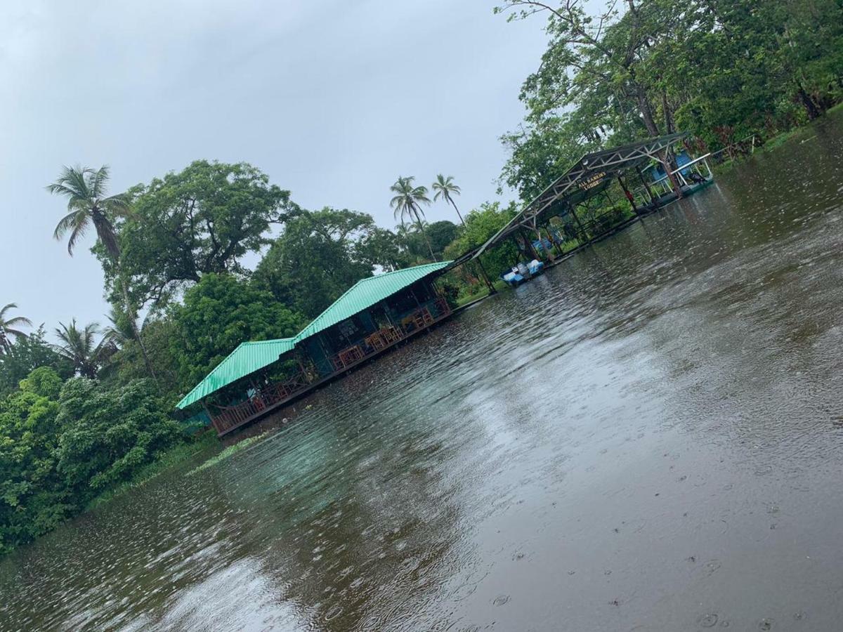 All Rankins Eco-Lodge Tortuguero Bagian luar foto