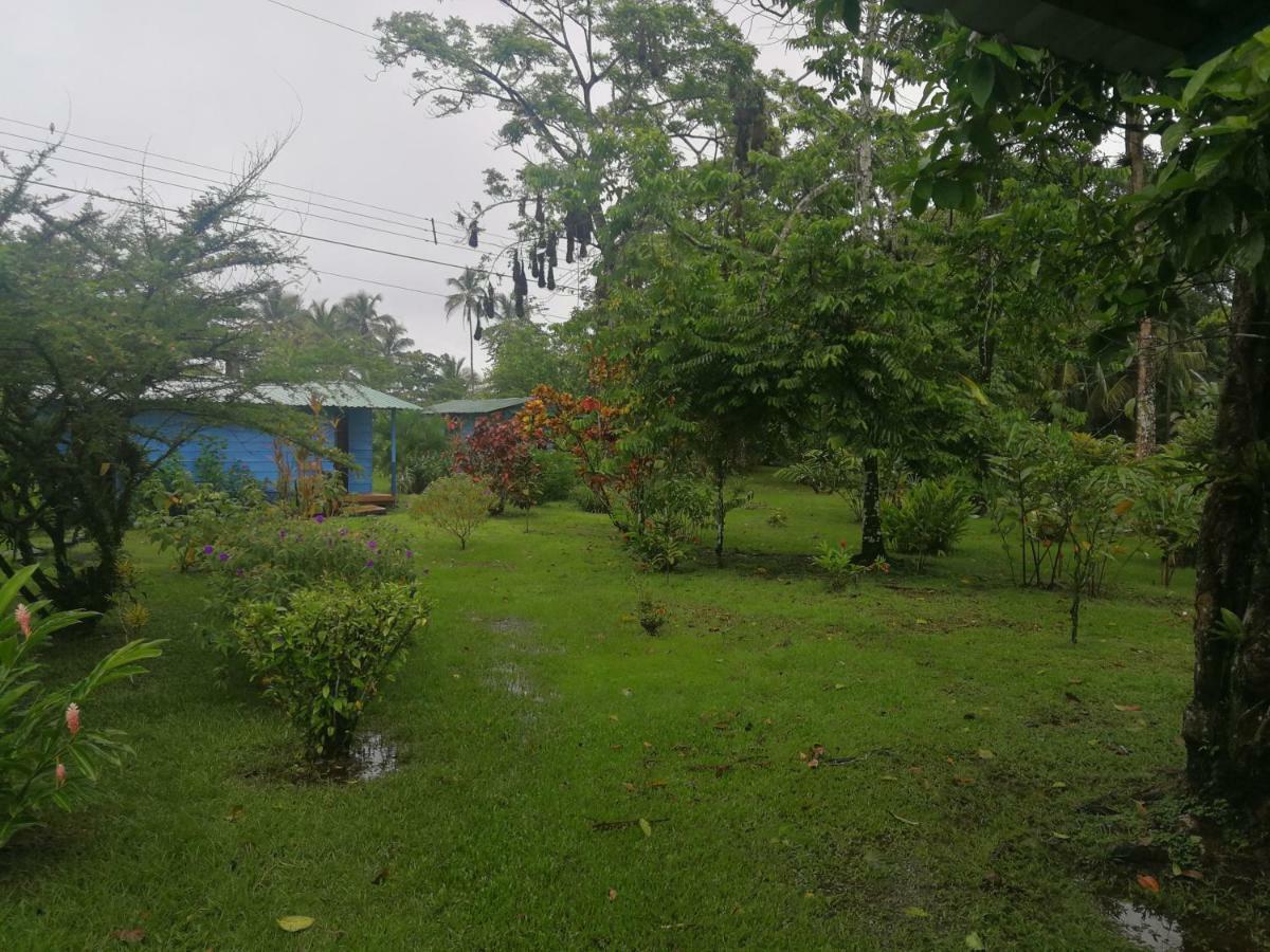 All Rankins Eco-Lodge Tortuguero Bagian luar foto
