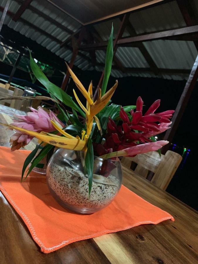 All Rankins Eco-Lodge Tortuguero Bagian luar foto