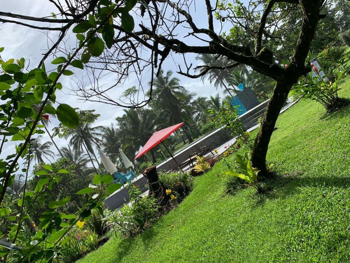 All Rankins Eco-Lodge Tortuguero Bagian luar foto