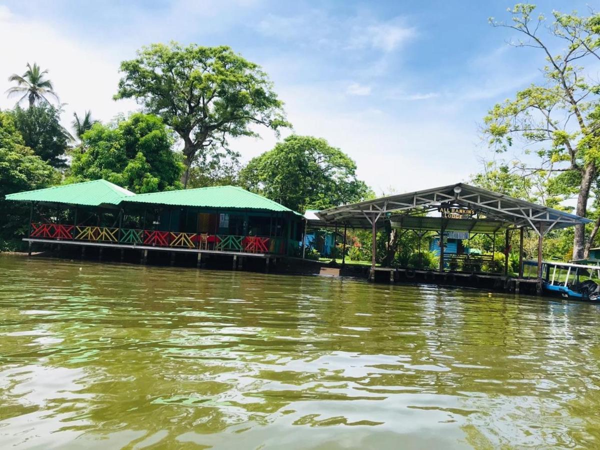 All Rankins Eco-Lodge Tortuguero Bagian luar foto